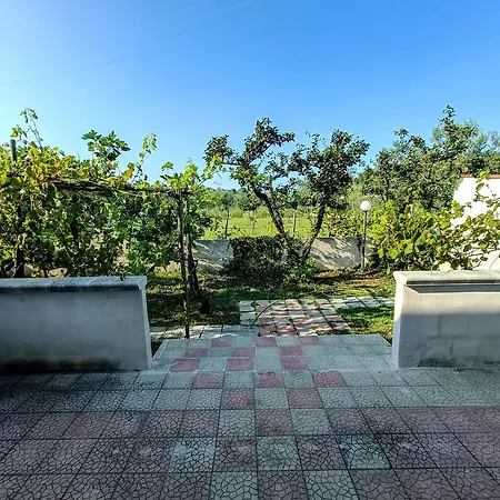 Il Giunco Bed & Breakfast