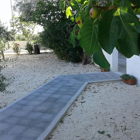 Il Giunco
