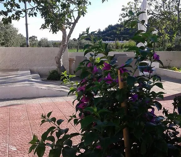 Alojamento de Acomodação e Pequeno-almoço Il Giunco